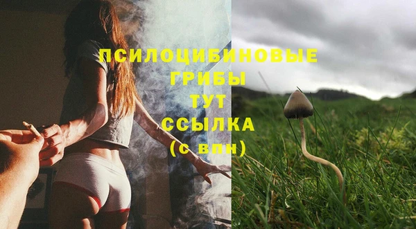 apvp Сатка