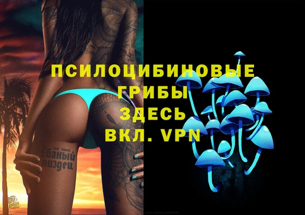 apvp Сатка
