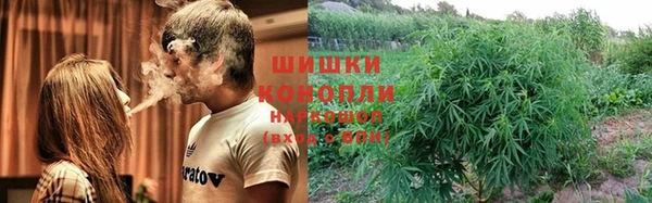 метадон Сафоново