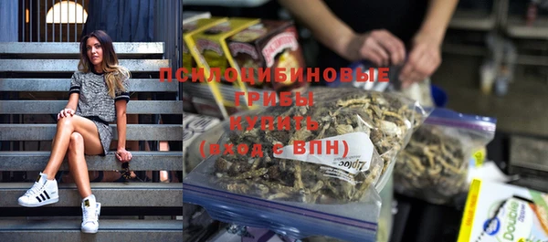 метадон Сафоново