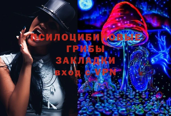 apvp Сатка