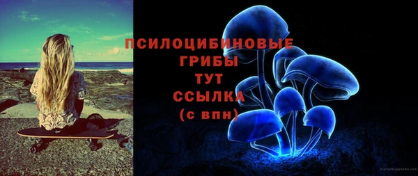метадон Сафоново