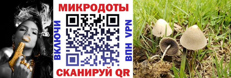 Галлюциногенные грибы GOLDEN TEACHER Стрежевой