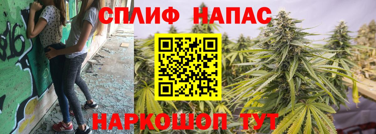 Конопля индика Стрежевой